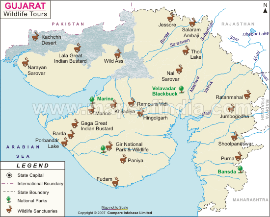 Gujarat Wildlife Tours Map