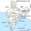 Wildlife Tour to India