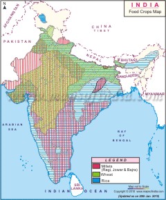India Map - Food Crops