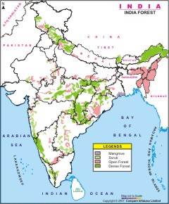 India Map - Forest
