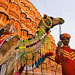 Jaipur