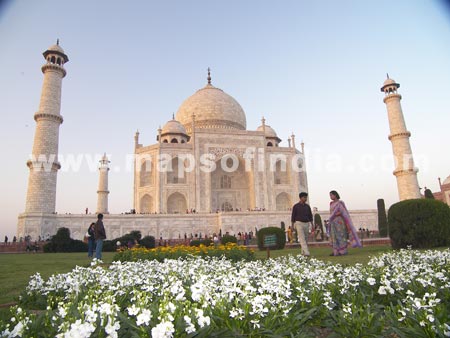 The White Orchids At Taj