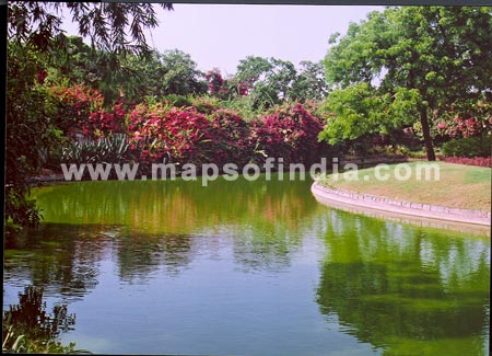 A lake at Buddha Jayanti Park