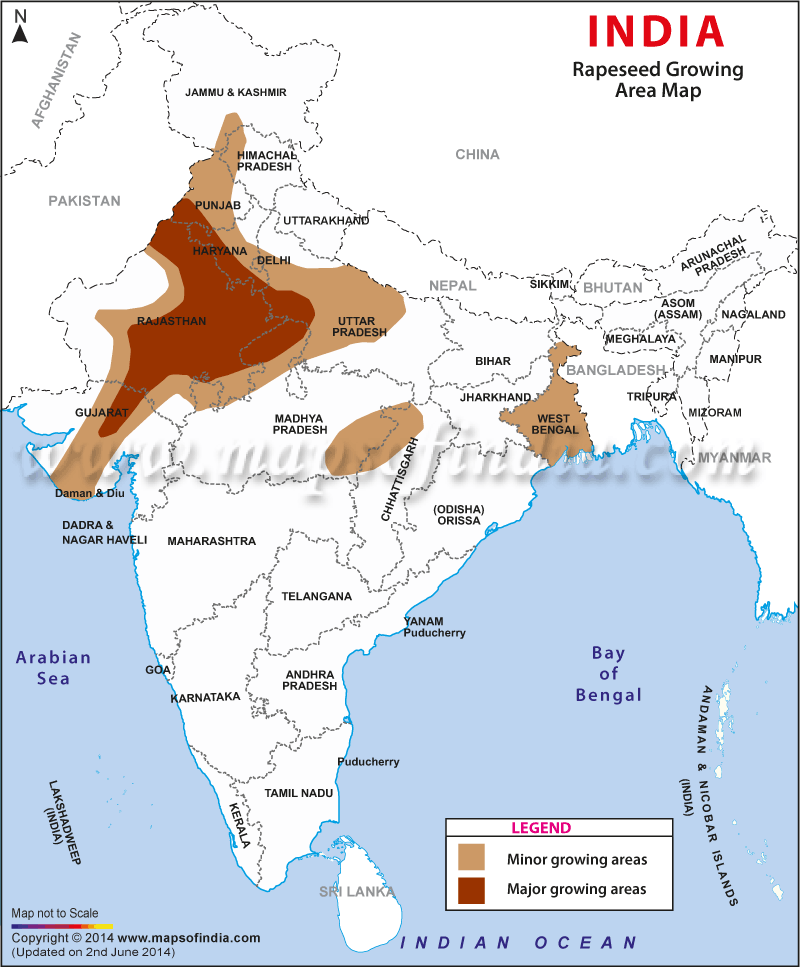 Rapeseed Growing States of India