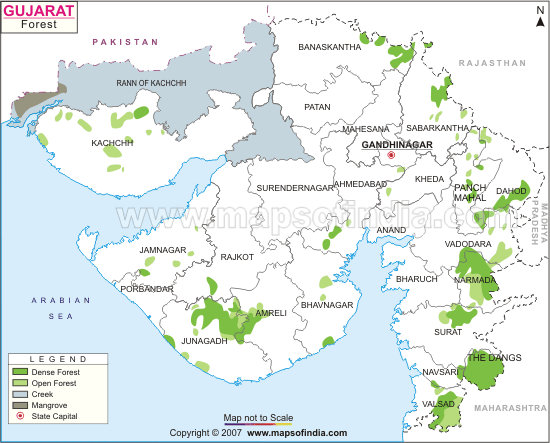 Gujarat Forest Map