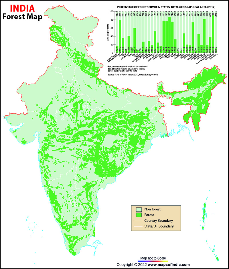 india-map-forest