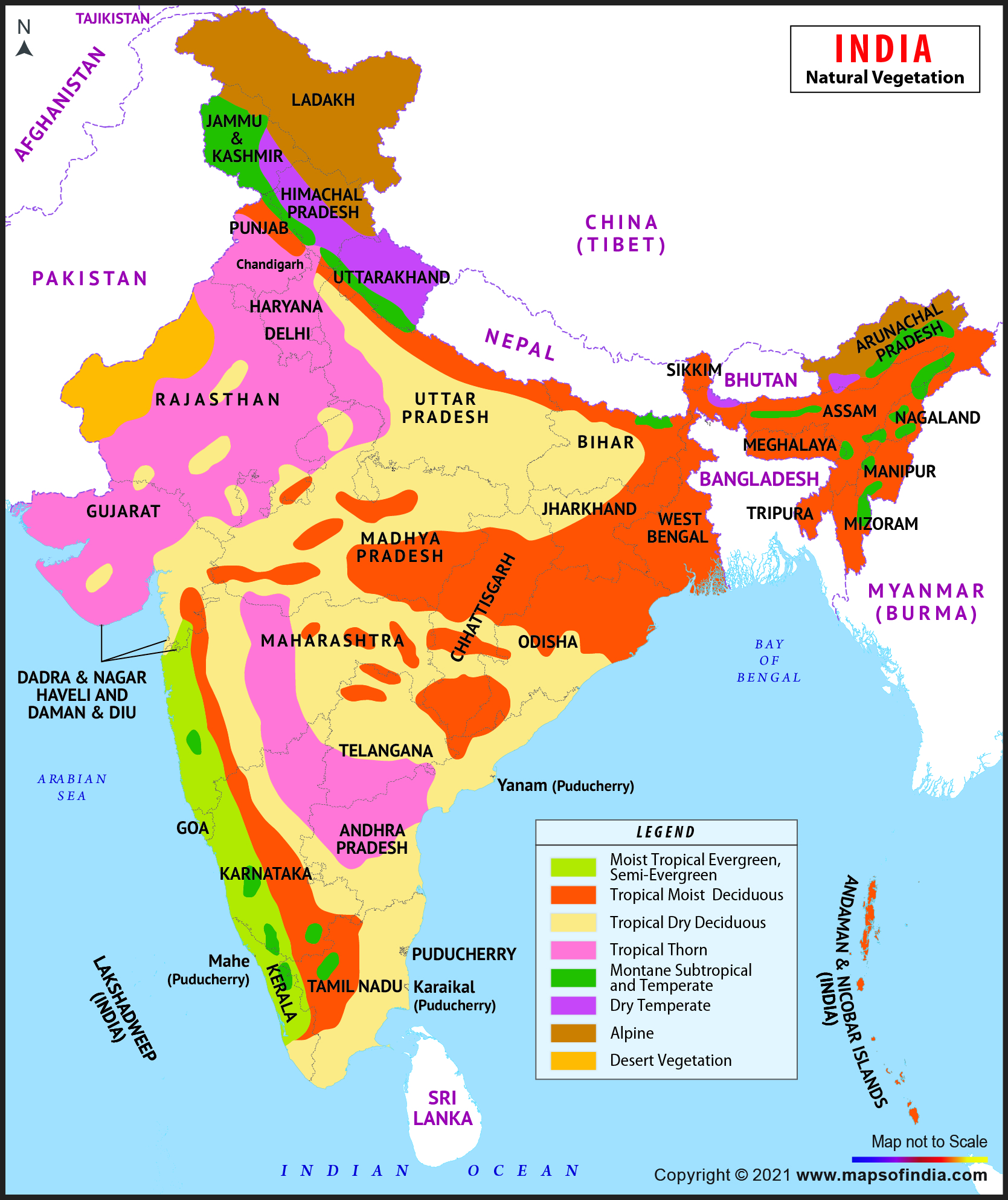 Natural Vegetations in India