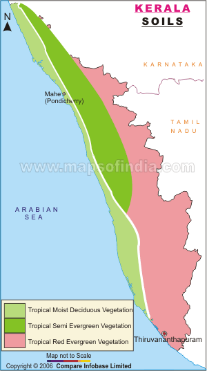 Soil and Vegetation Map