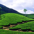 Hill Stations in Kerala Hill Stations in Kerala