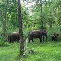 Wildlife Tours Wildlife Tours