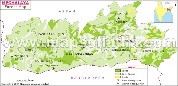 Forests maps