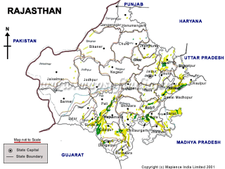 Rajasthan Forest