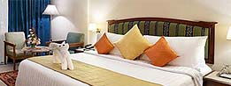 Hotels
