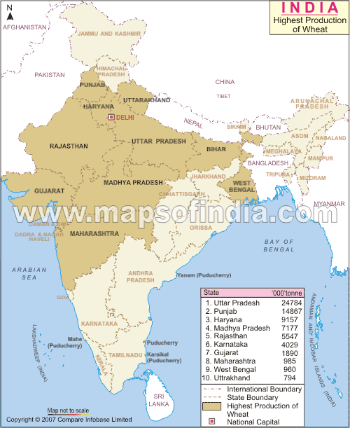 india wheat map