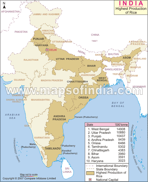 India Rice Production