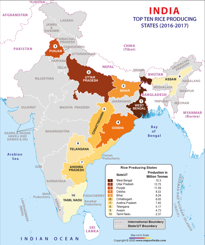 Map Showing Top 10 Rice Producing States in India