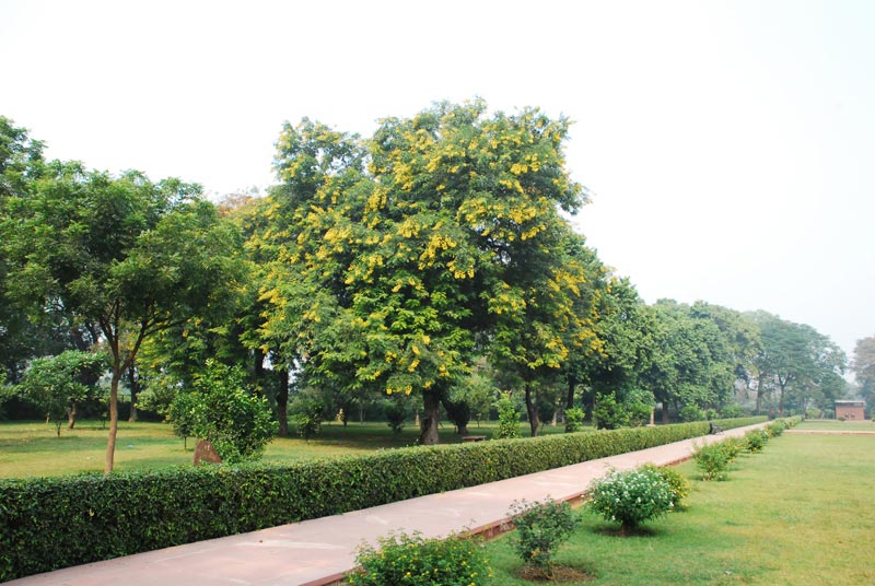 Garden of Tomb of Mariam uz Zamani