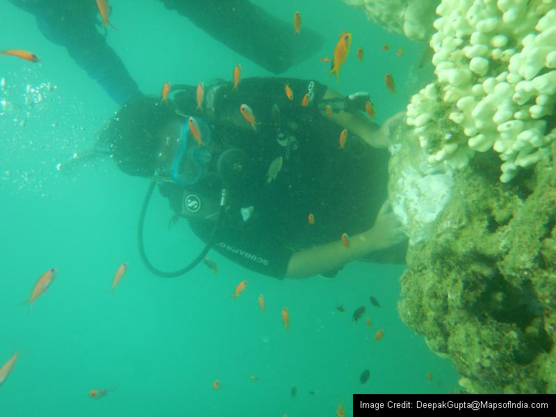 scuba-diving-in-port-blair