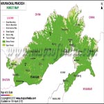 Forest Map