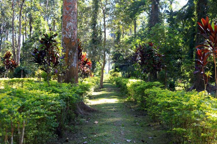 Botanical Garden