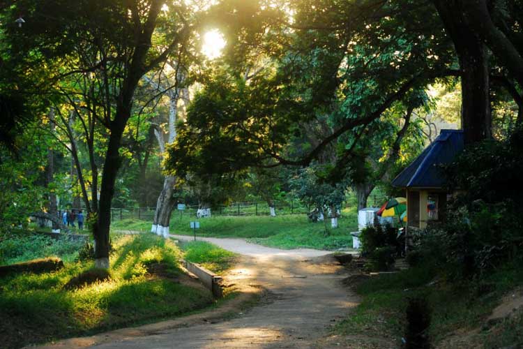 Guwahati Zoo