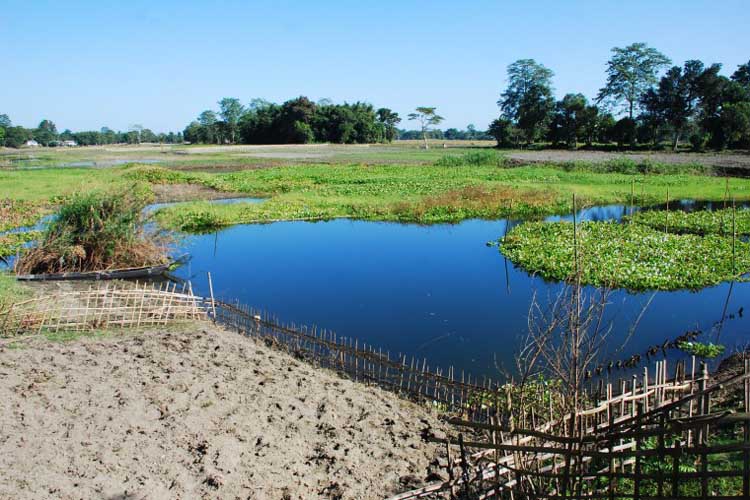 Water Bodies Created by Flood