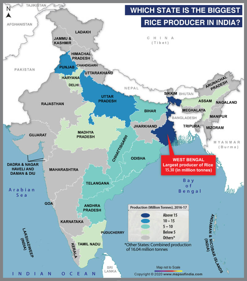 Map of India Highlighting the Biggest Rice Producing State