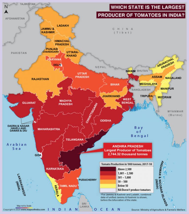 Map of India Highlighting the Largest Tomato Producing State