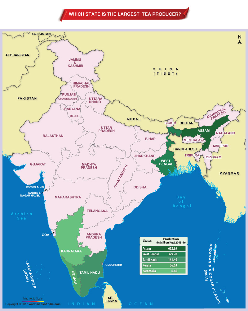 Which State Of India Is The Largest Tea Producer