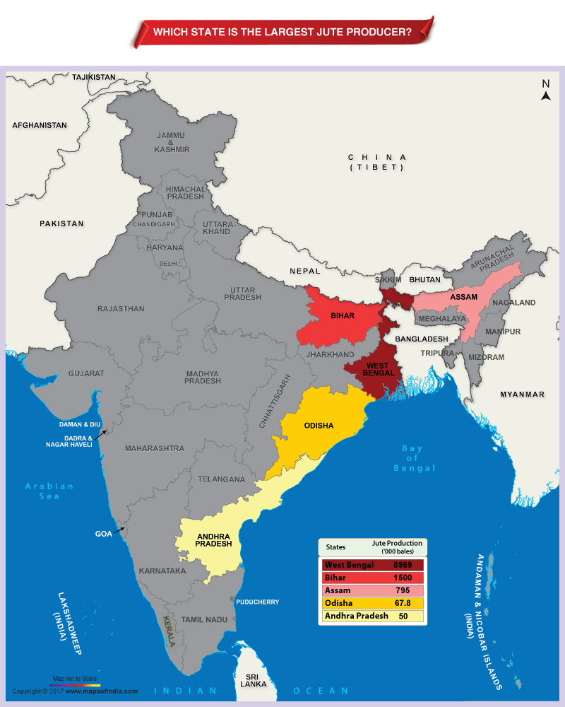 Which State is the Largest Jute Producer