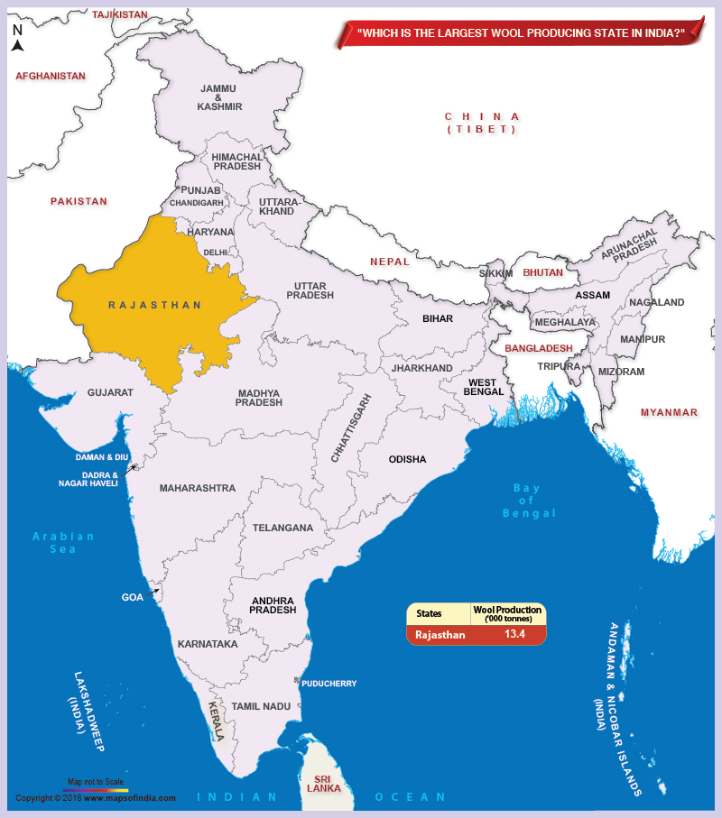 Which is the largest wool producing state in India?