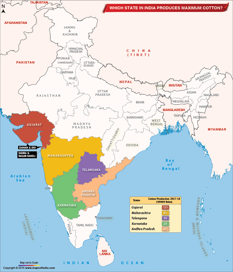 Which state produces maximum amount of cotton in India?