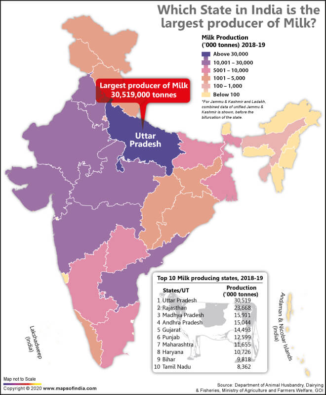 Map of India Showing the Largest Milk Producing State as per 2018-19