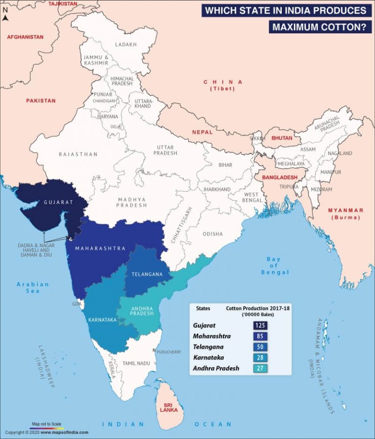 Map of India Highlighting Maximum Cotton Producing States