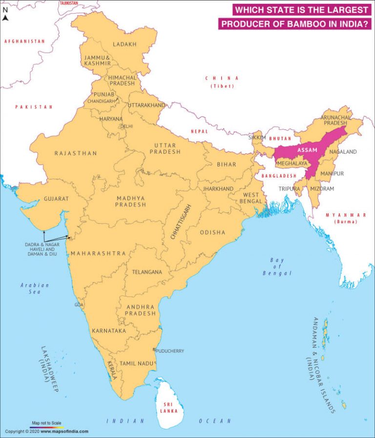 Map of India Highlighting the Maximum Bamboo Producing State