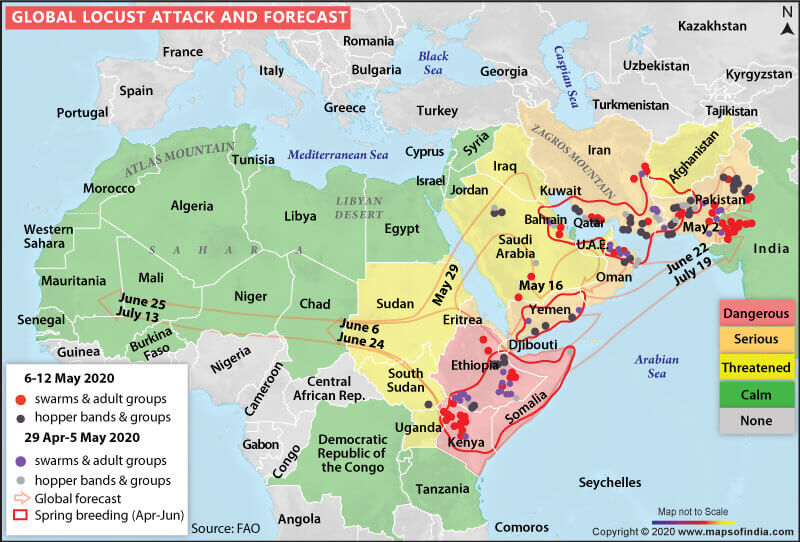 Map Showing Global Locust Attack and Forecast