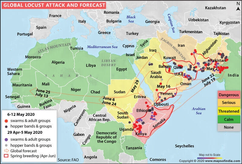 Map Showing Global Locust Attack and Forecast Map Showing Global Locust Attack and Forecast