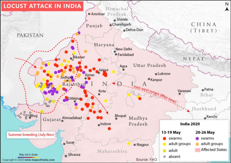 Map Showing States Attacked by Locusts in India