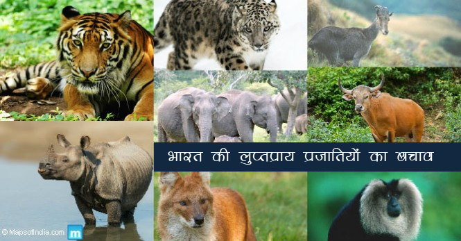 भारत की लुप्तप्राय पशु प्रजाति - Endangered Animal Species of India