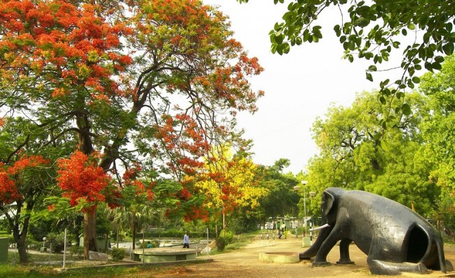 इलाहाबाद में हाथी पार्क
