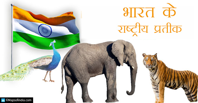 भारत के राष्ट्रीय प्रतीक - पशु, पक्षी, प्रतीक, फल, फूल, पेड़, खेल | National  symbols of India in Hindi