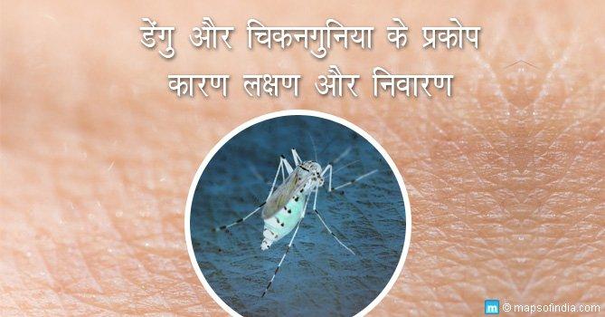 डेंगू और चिकनगुनिया के प्रकोप: कारण, लक्षण और निवारण