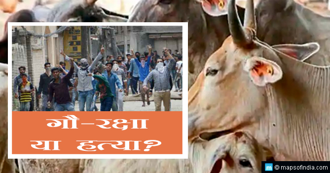 गौ-रक्षा: क्या हम धर्म के नाम पर हत्यारे बन रहे हैं?