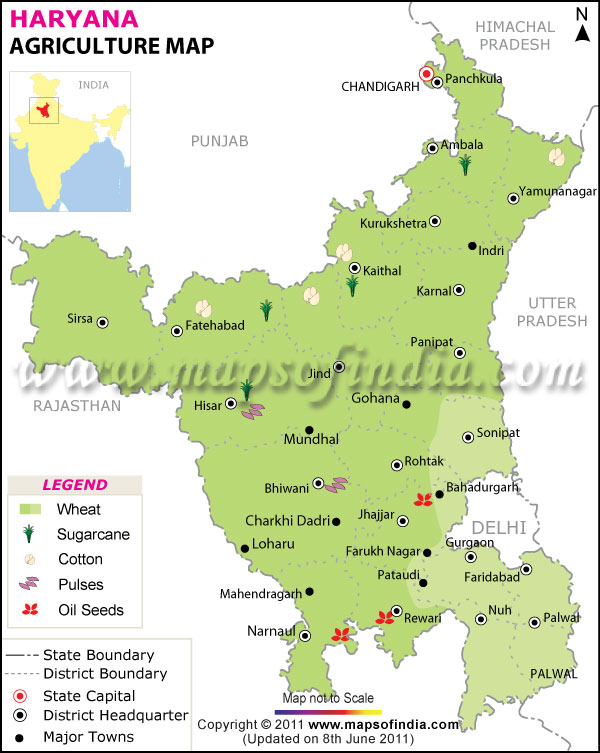 Map of Haryana Agriculture