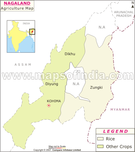 Agricultural Map of Nagaland