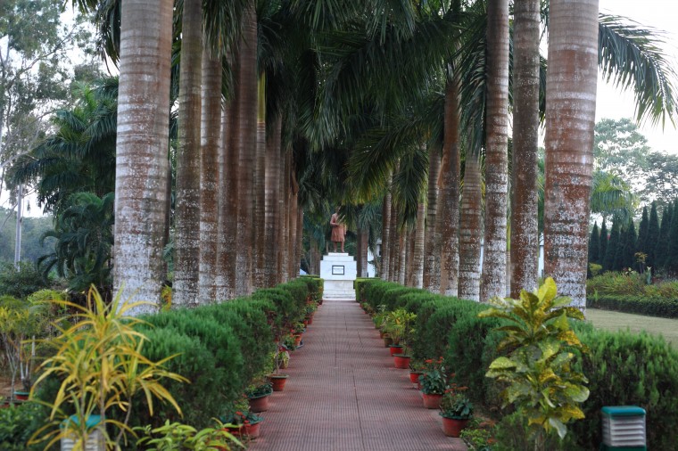 tree-line-nehru-park-agartala