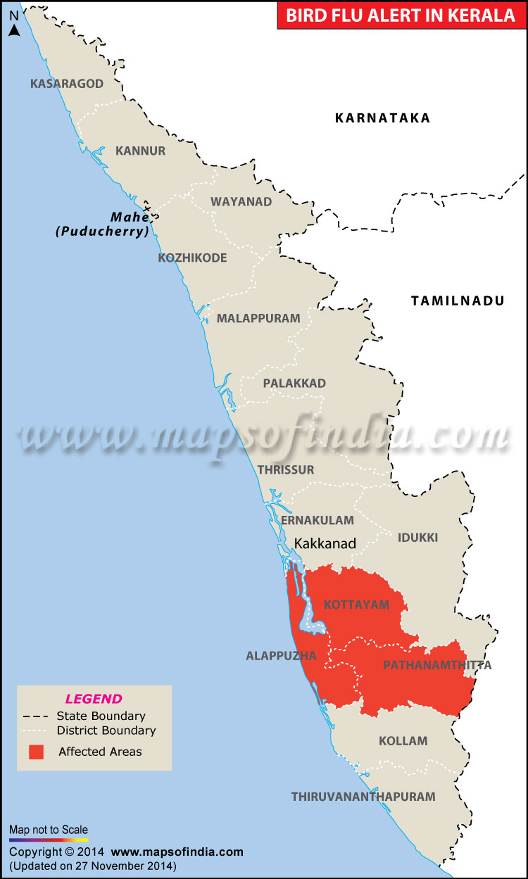 Bird Flu Alert Area in Kerala
