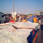 Fish Market at Malpe Port