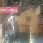 Sacred Tree at Gogaji Temple