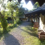 side view of tent